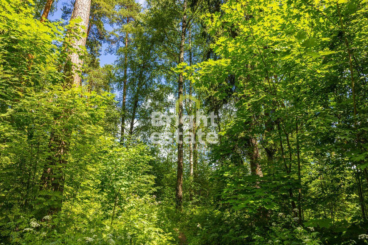 Участок 285 сот. в охраняемом поселке