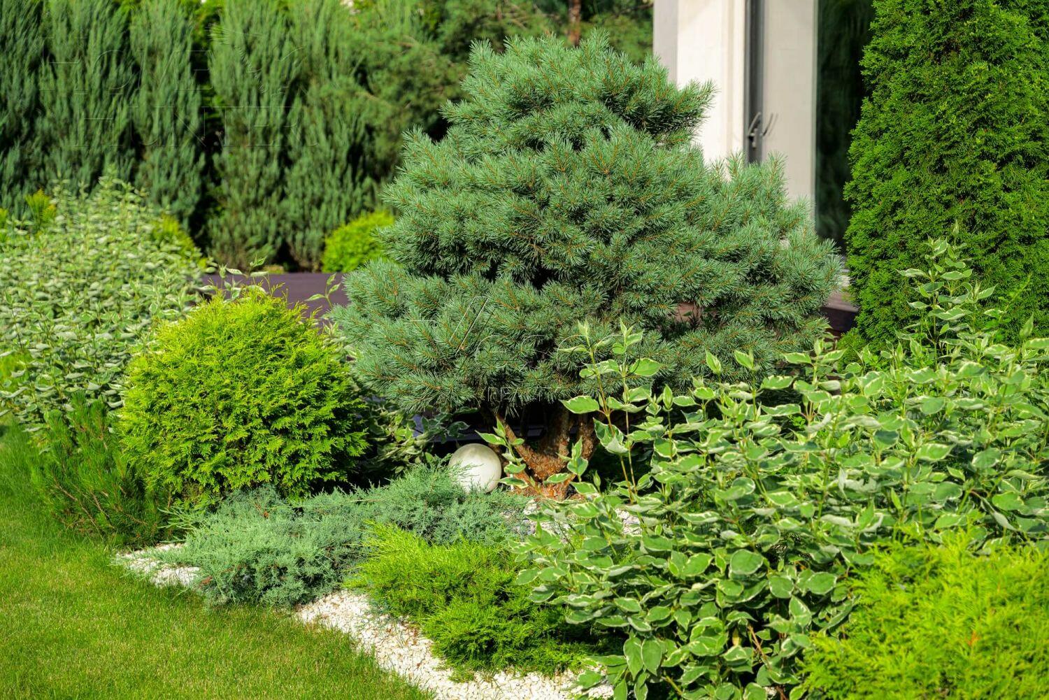 2-этажный коттедж 1 000 м² с отделкой