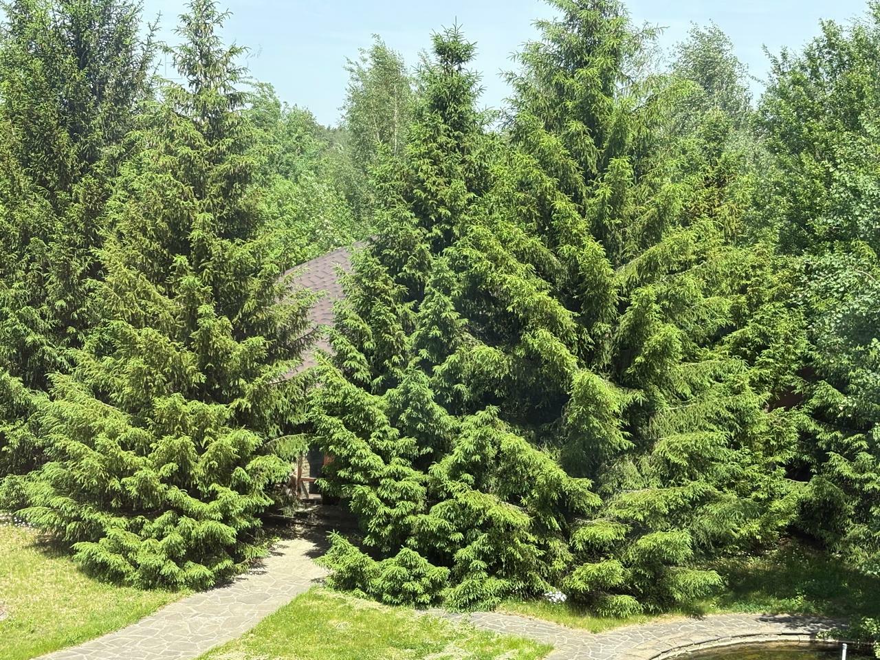 3-этажный коттедж 1 523.7 м² без отделки