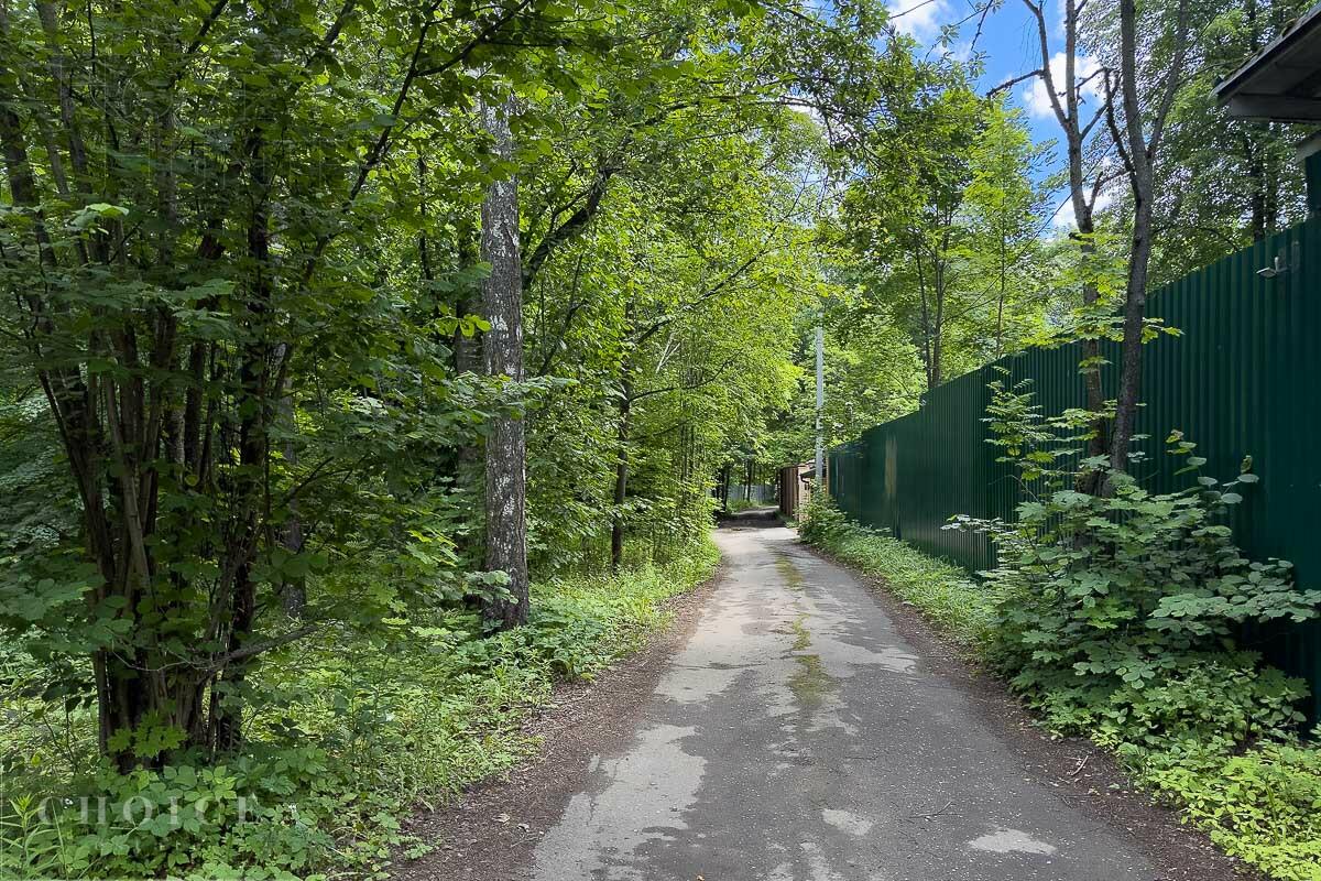 Участок 125 сот.