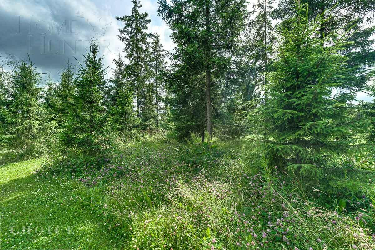 Участок 24.3 сот. в охраняемом поселке