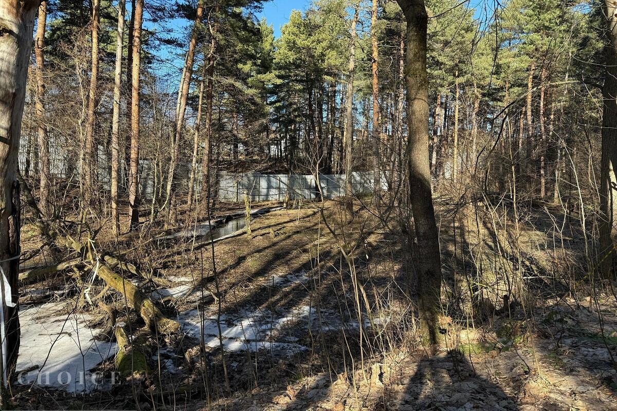 Участок 25 сот.