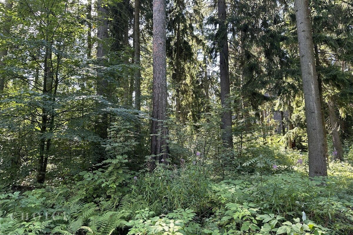 Участок 120 сот. в охраняемом поселке