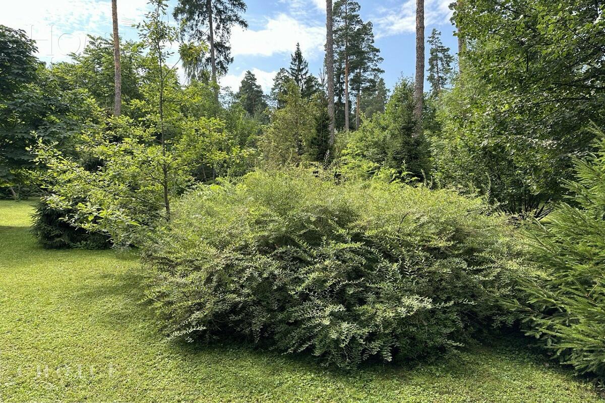 Участок 60 сот. в охраняемом поселке