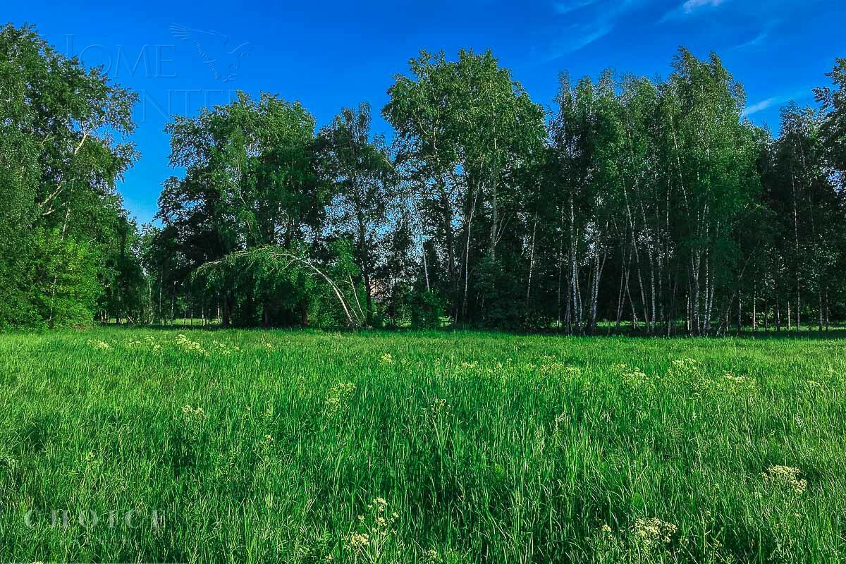 Участок 38.7 сот. в охраняемом поселке