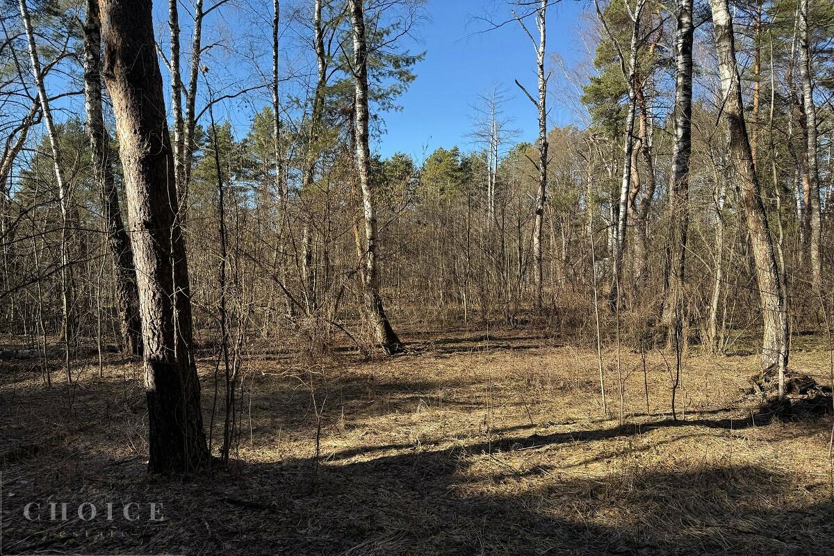 Участок 25 сот.