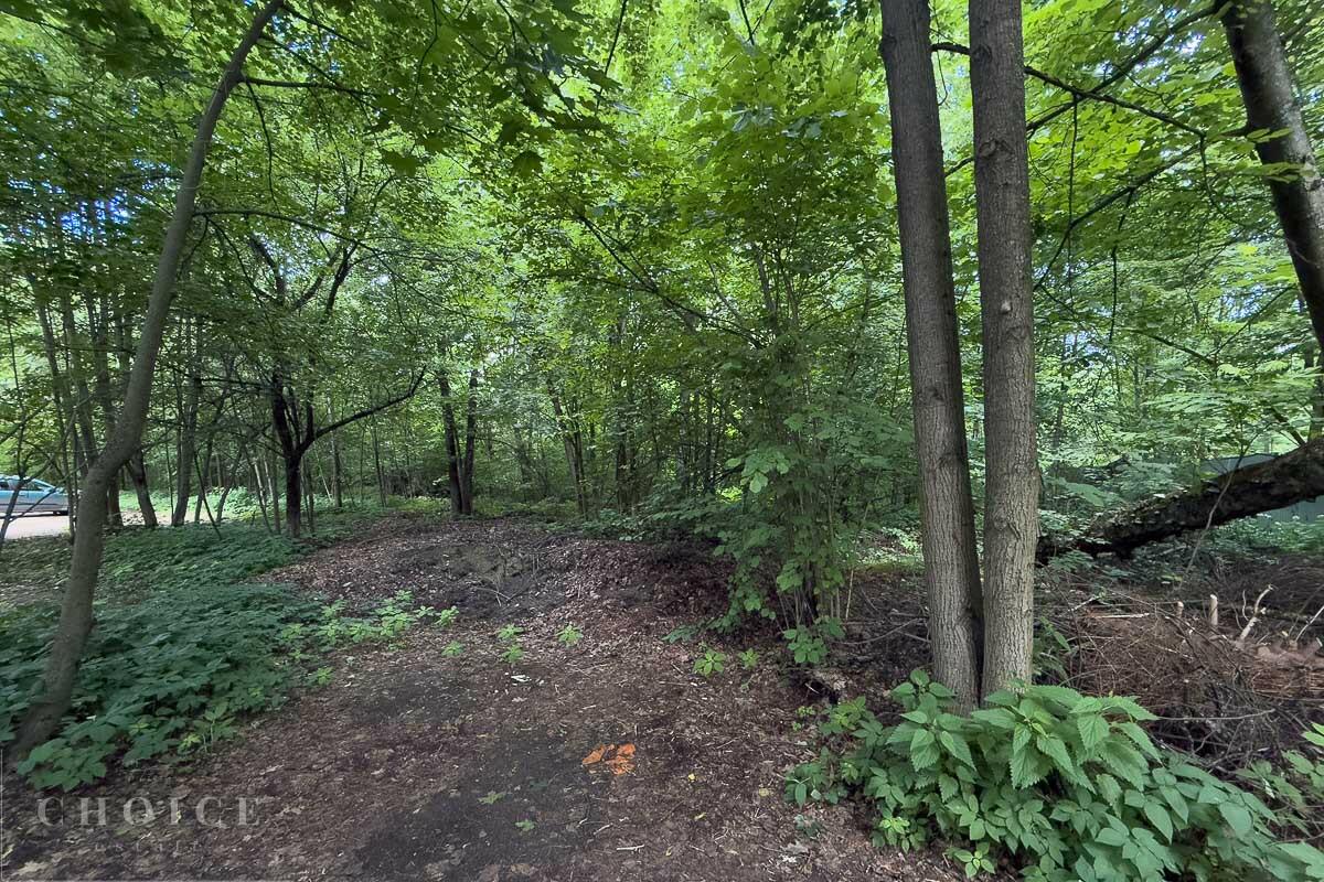 Участок 125 сот.