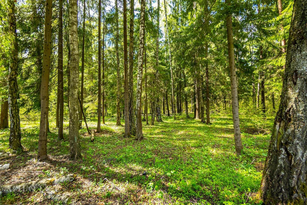 Участок 18.5 сот. в охраняемом поселке