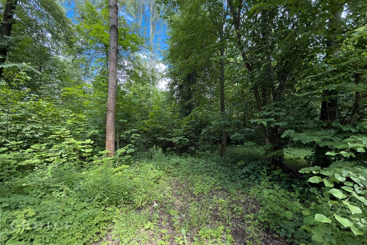 Участок 125 сот.