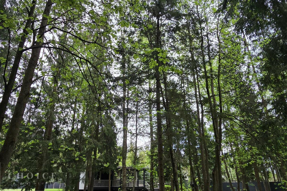 Участок 37 сот. в охраняемом поселке