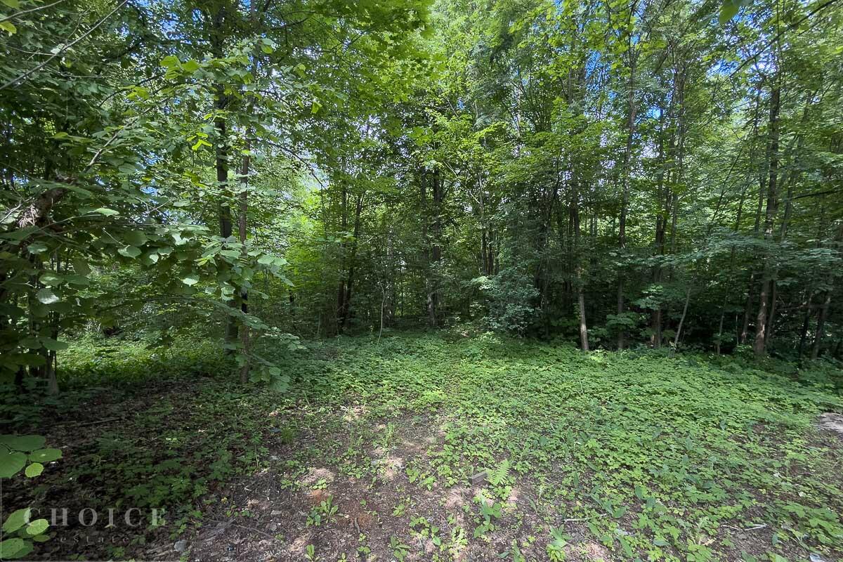 Участок 125 сот.