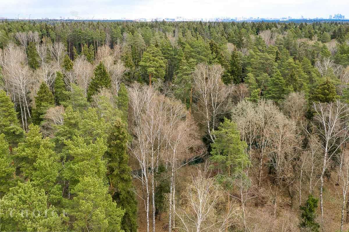 Участок 134 сот. в охраняемом поселке