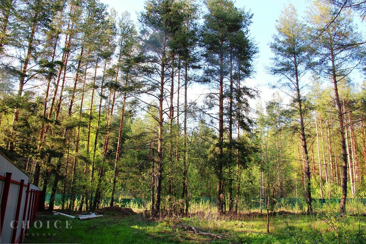 Участок 25 сот.