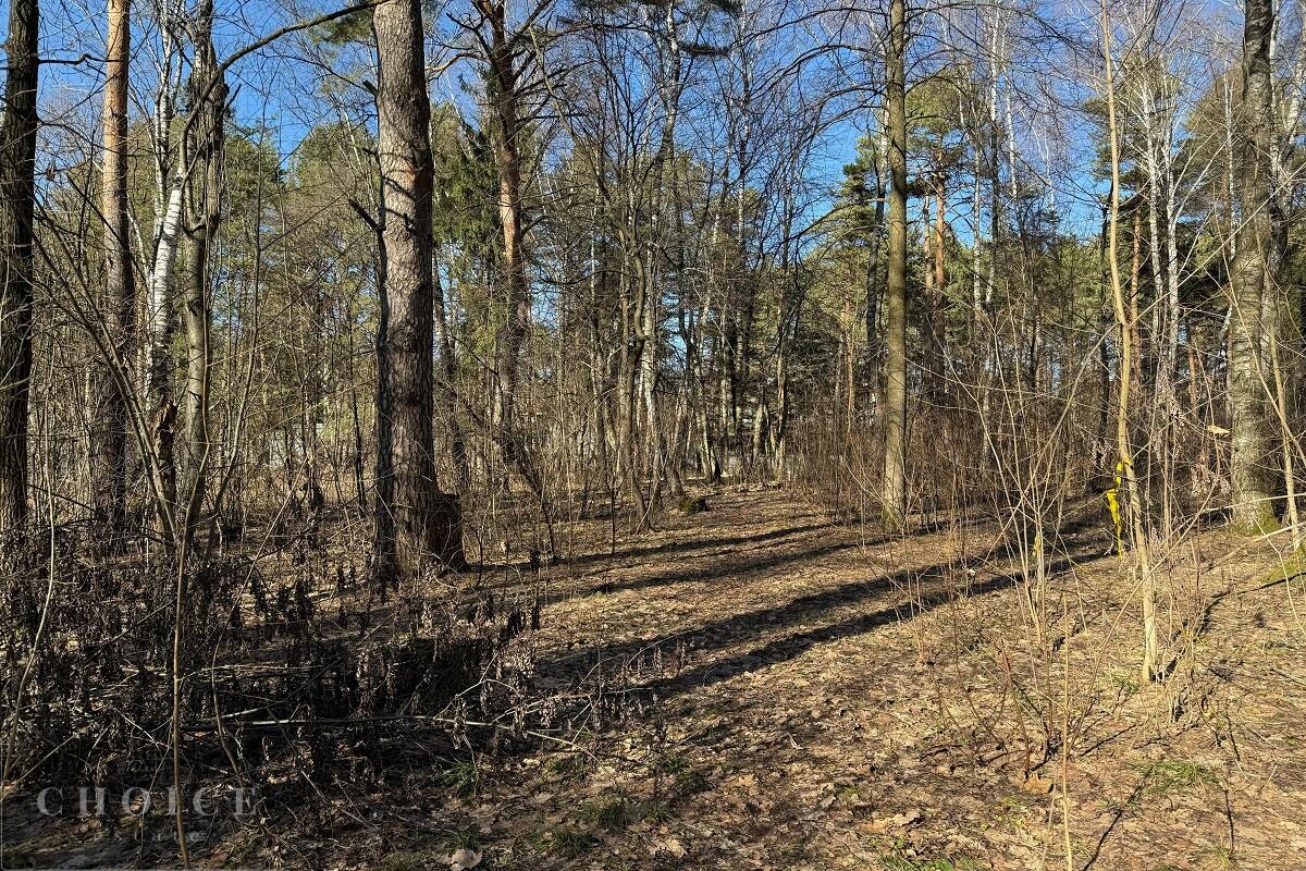 Участок 25 сот.