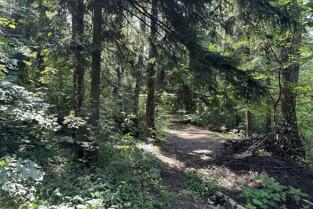 Участок 120 сот. в охраняемом поселке