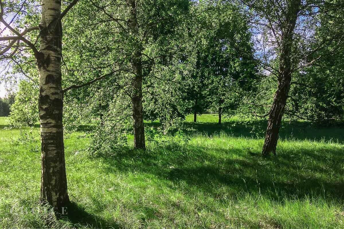 Участок 33 сот.