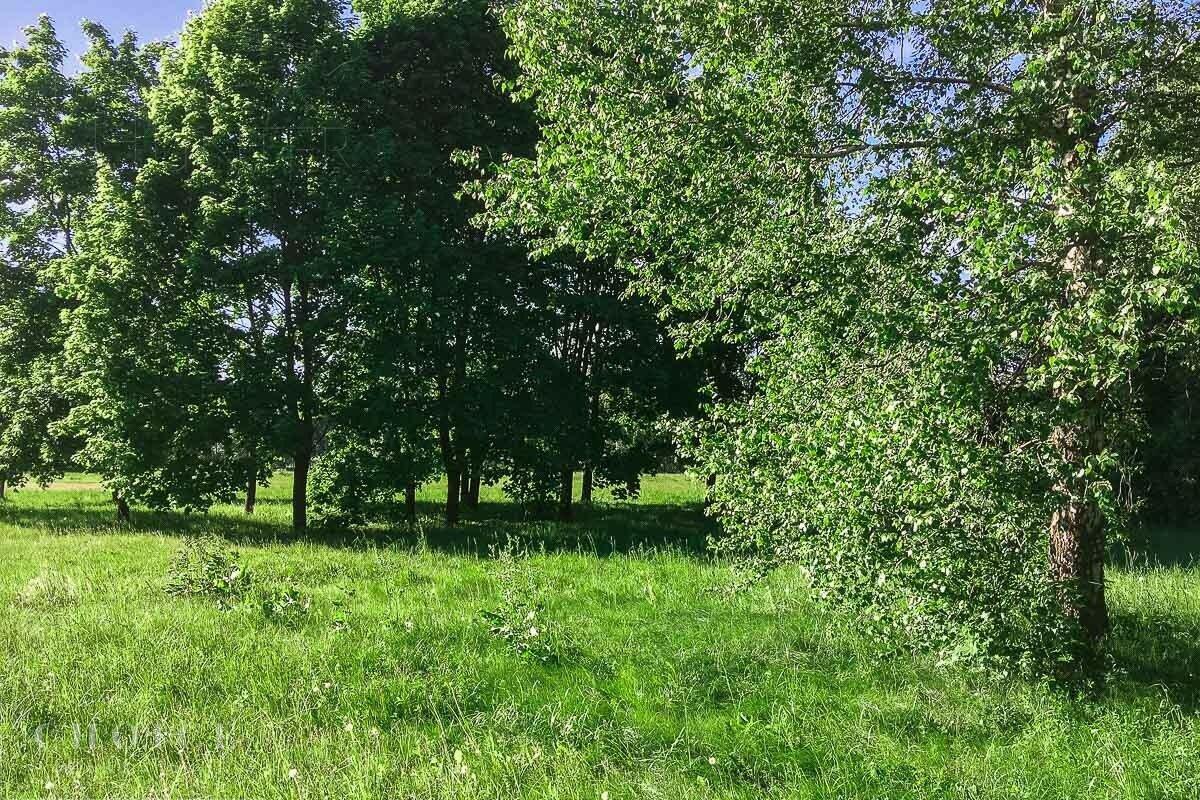 Участок 33 сот.