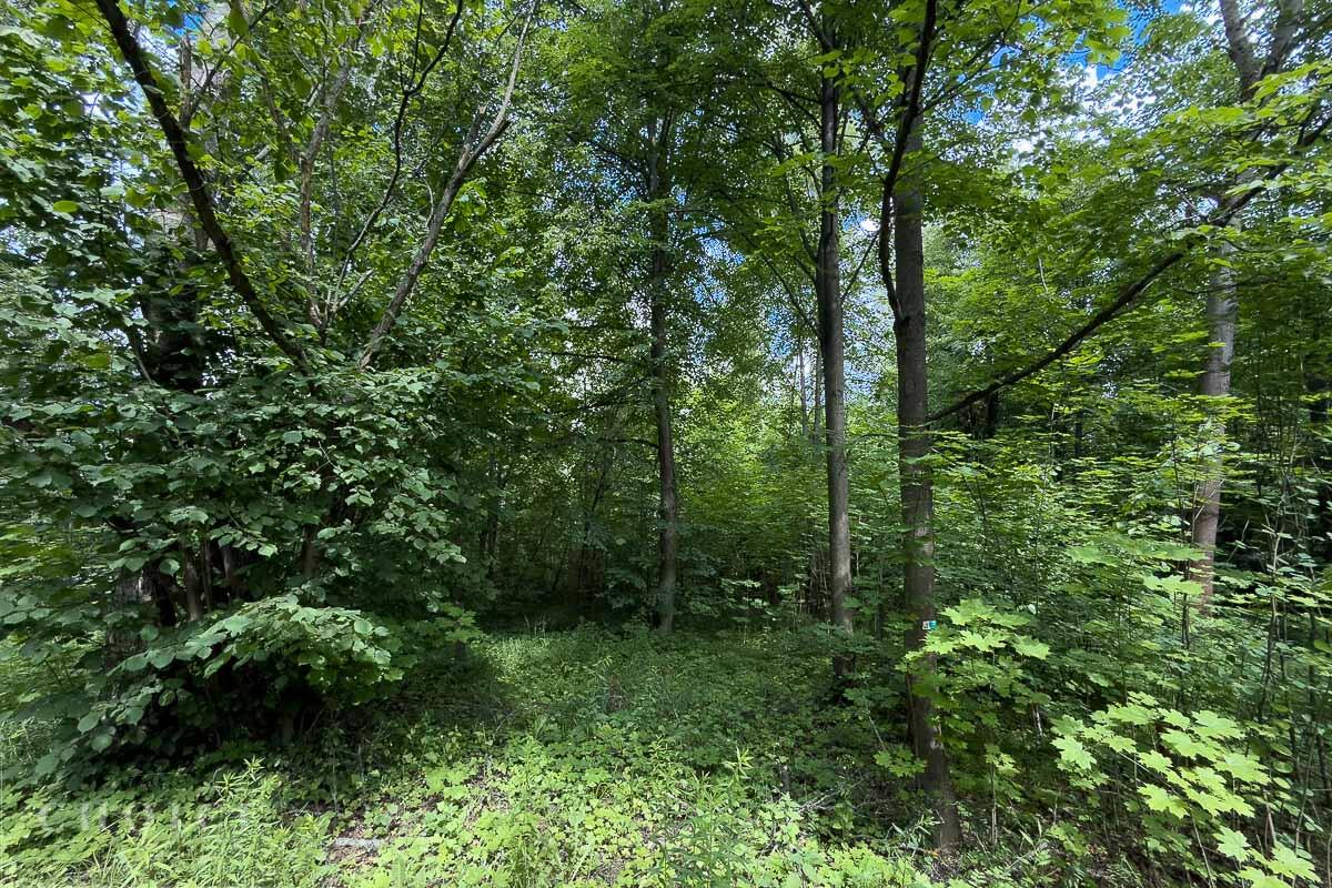 Участок 125 сот.