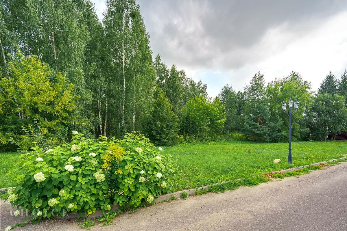 Участок 53.5 сот.