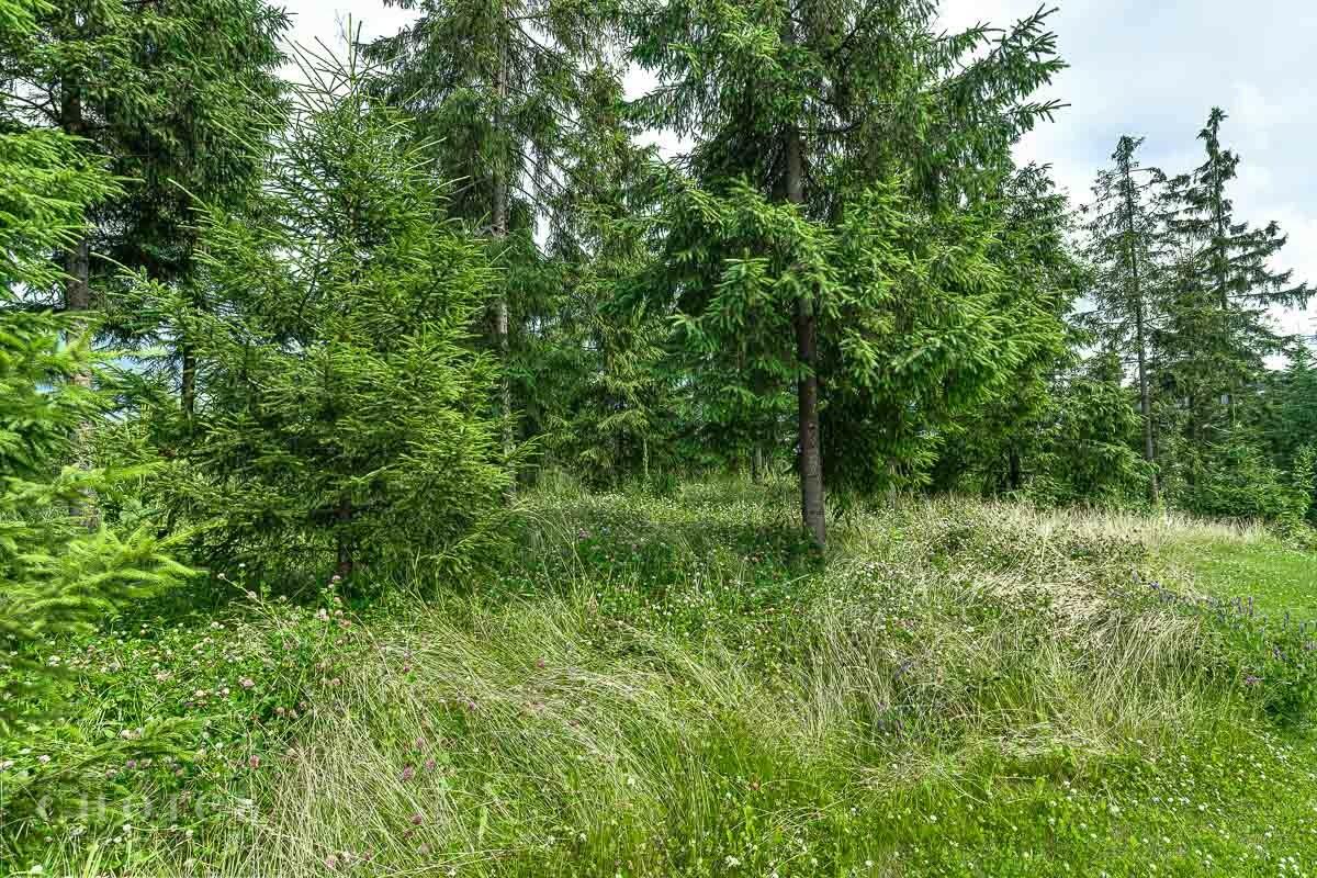 Участок 24.3 сот. в охраняемом поселке