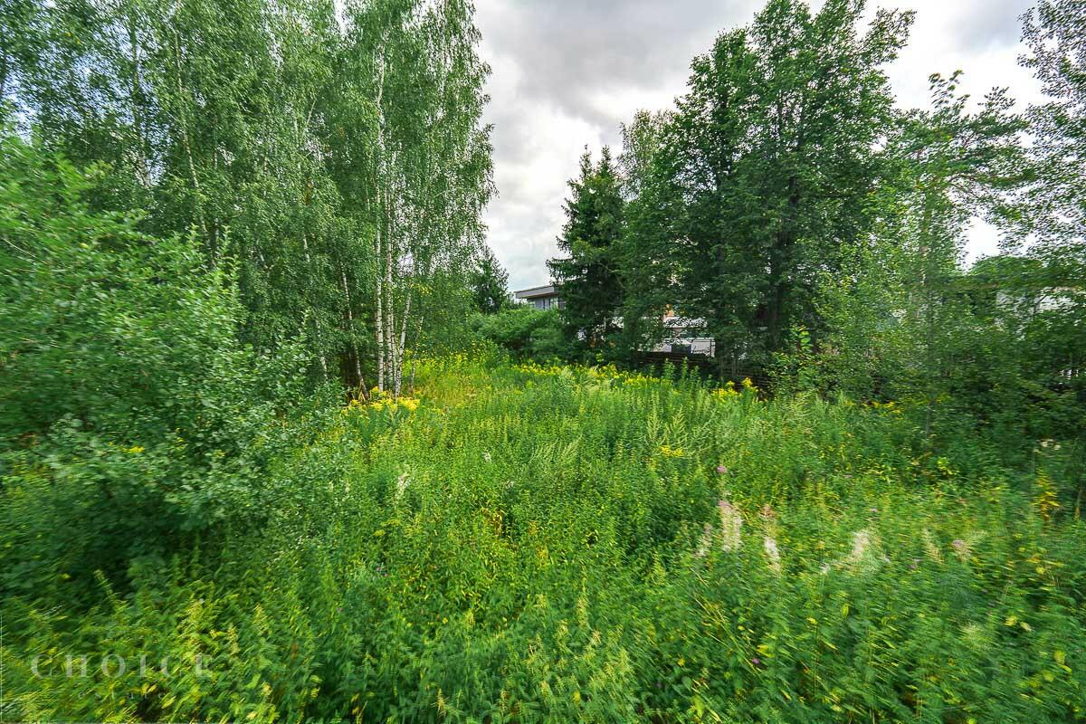 Участок 53.5 сот.