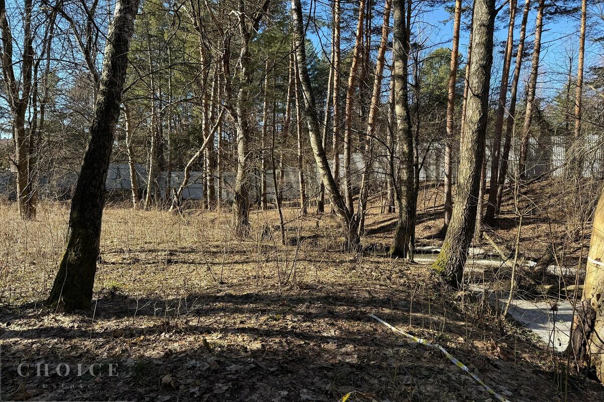 Участок 25 сот.