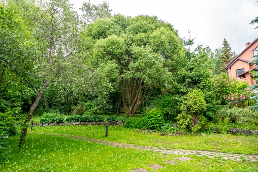 Участок 18 сот.