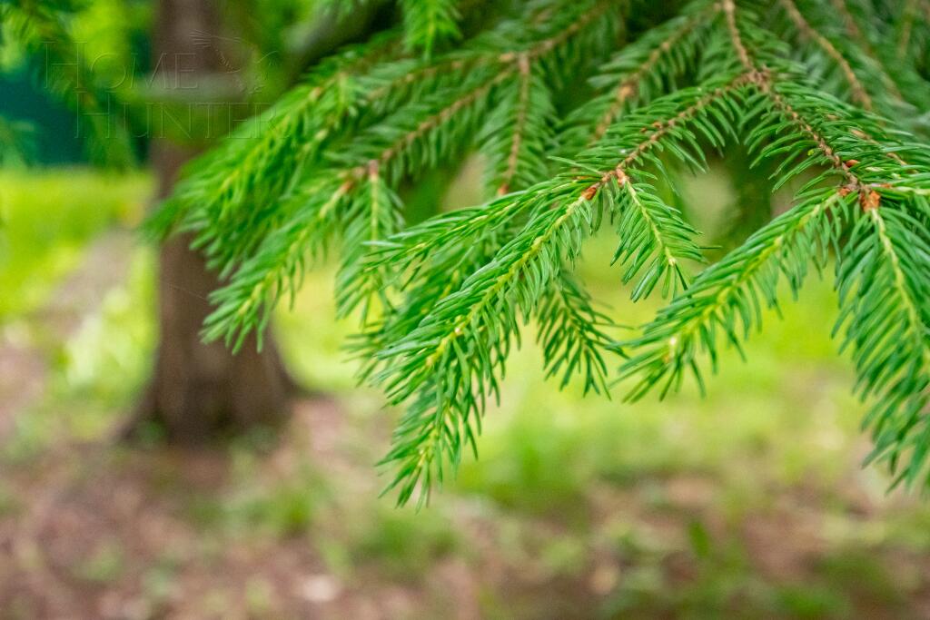 Участок 18 сот.