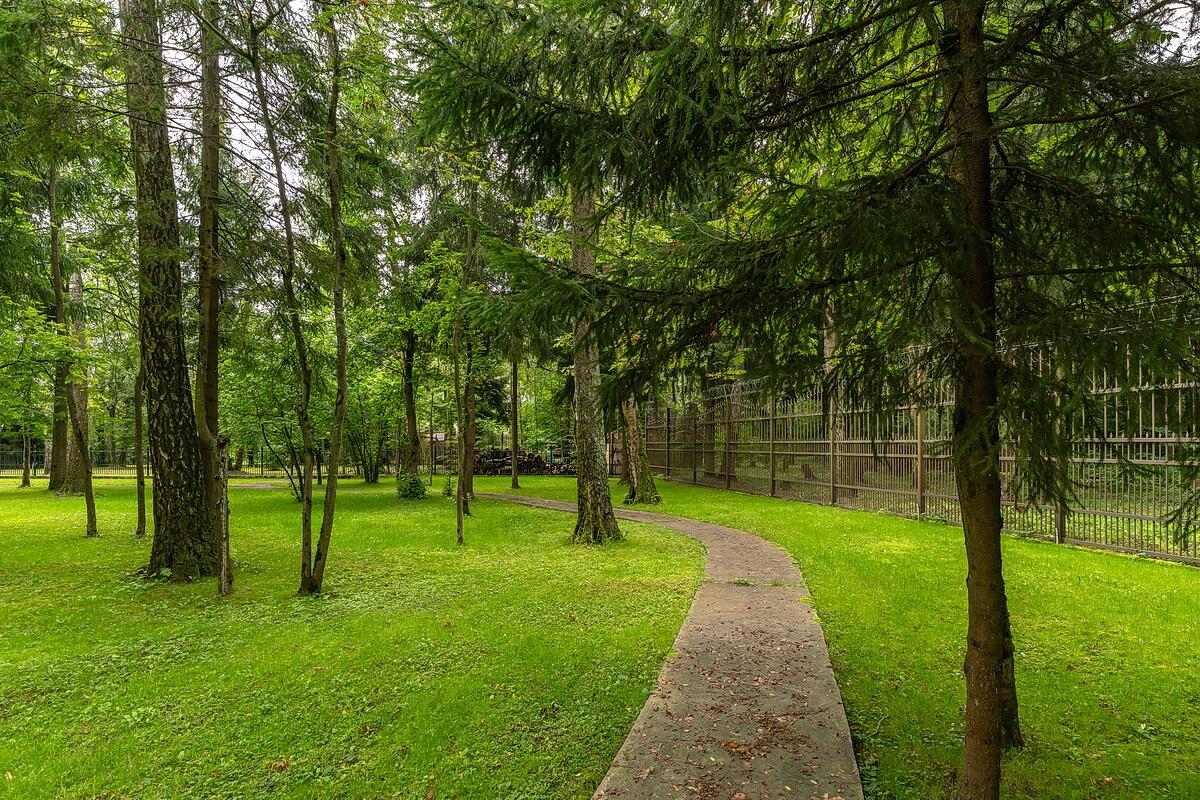 3-этажный коттедж 2 200 м² без отделки