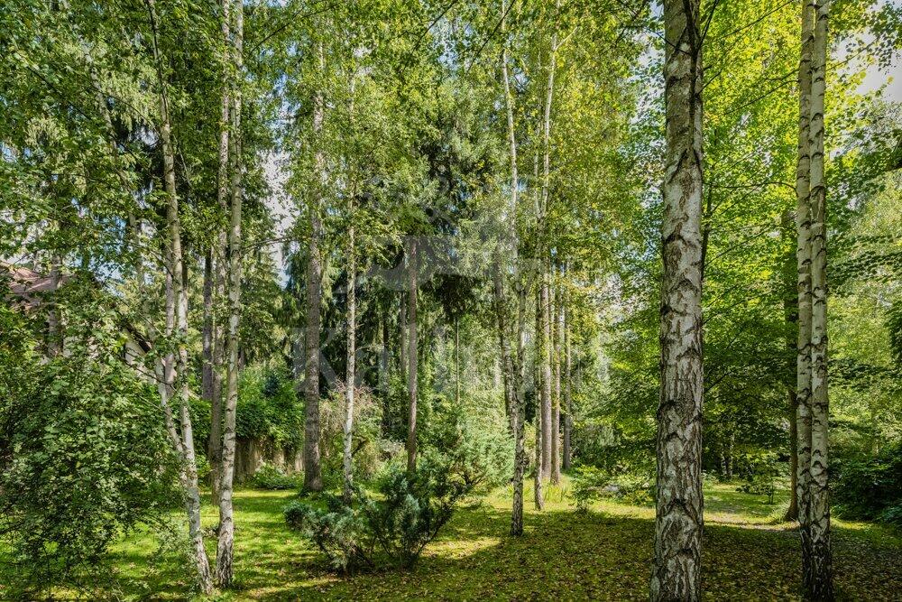 1-этажный коттедж 462 м² с отделкой