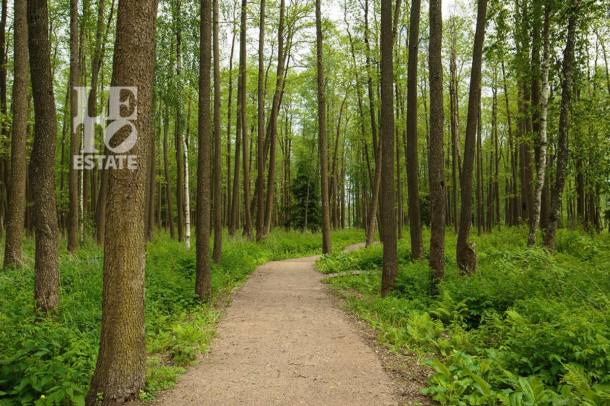 2-этажный коттедж 590 м² без отделки