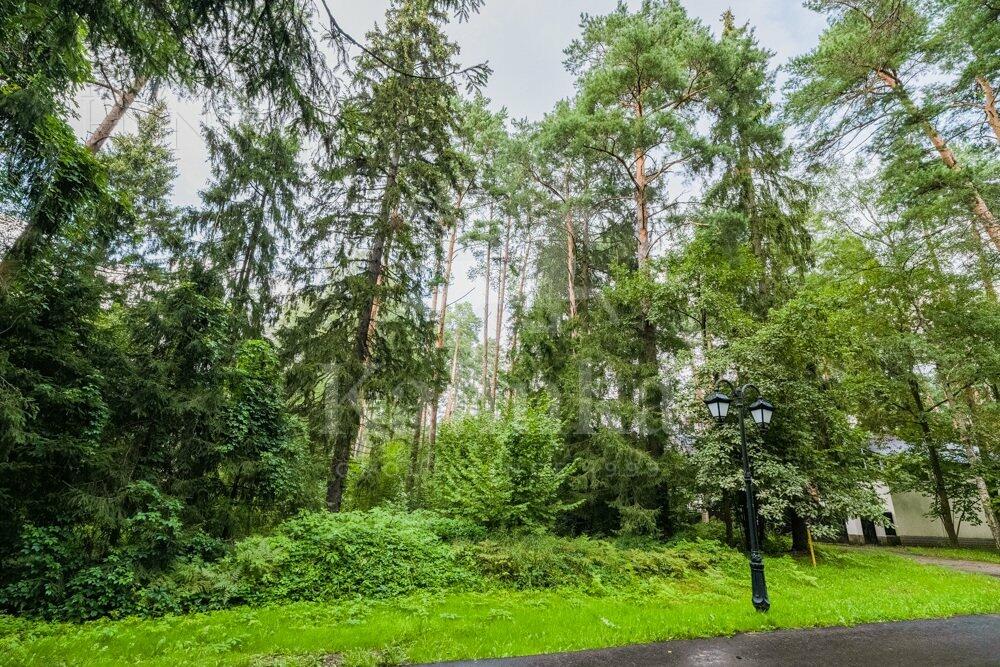 Участок 50 сот.