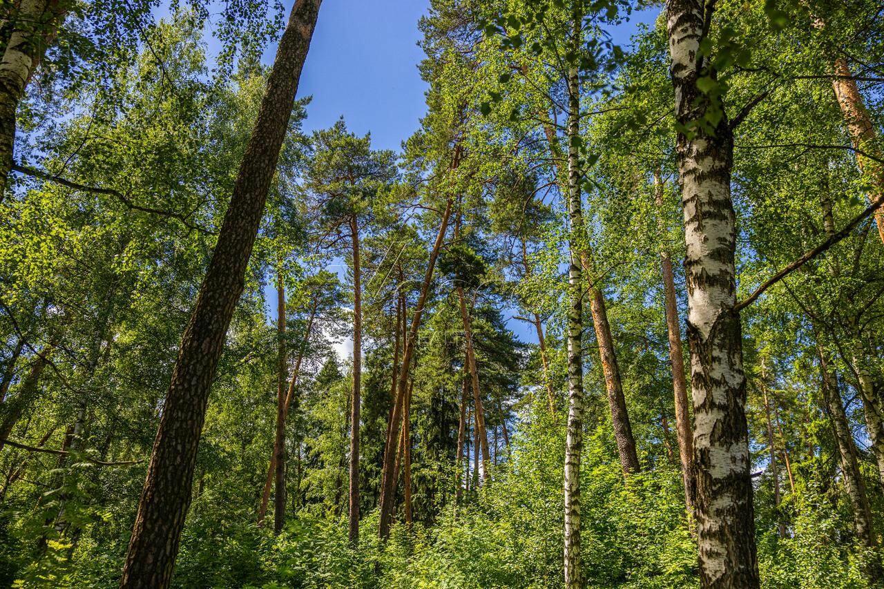 Участок 285.6 сот.