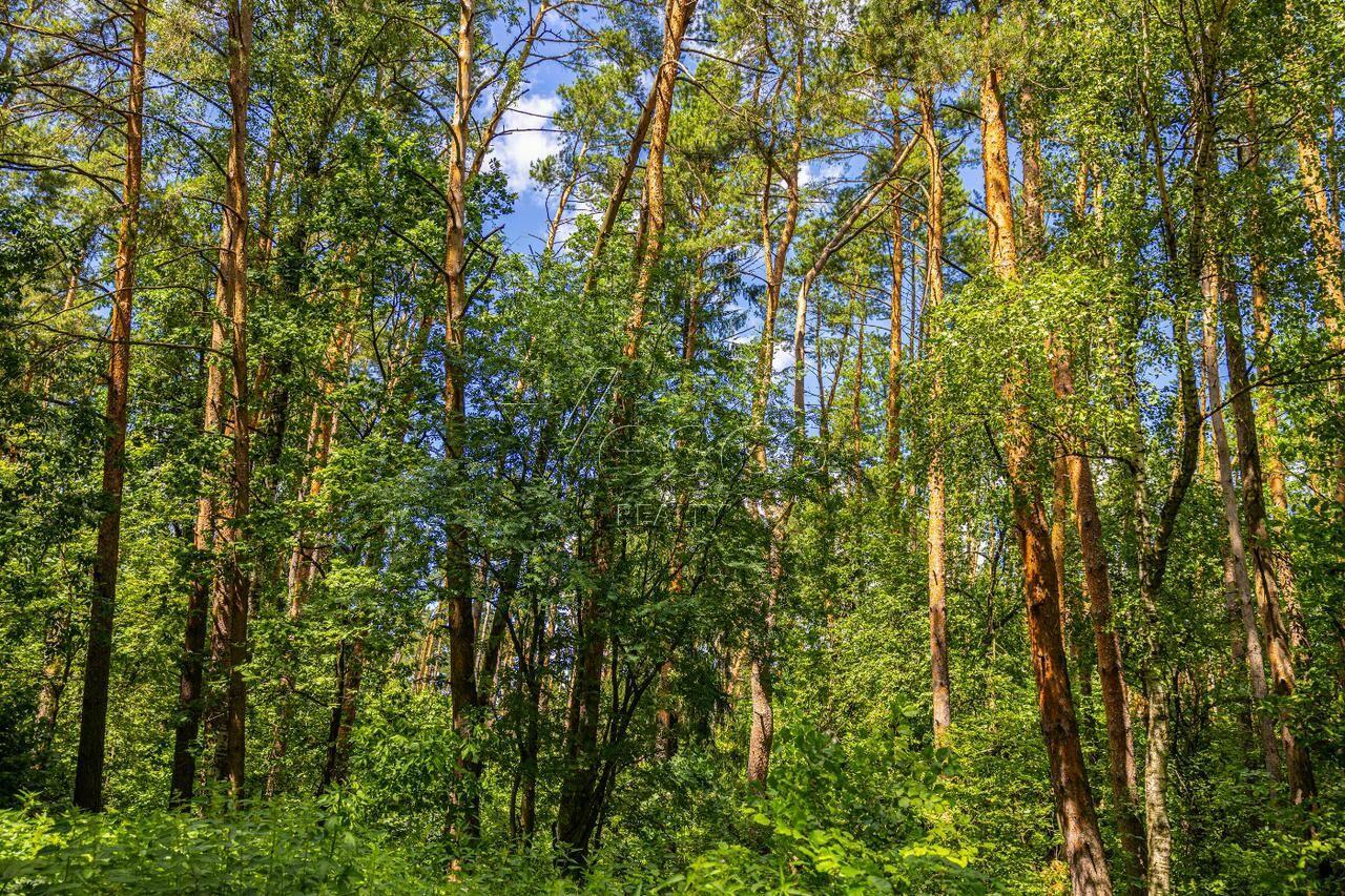 Участок 285.6 сот.