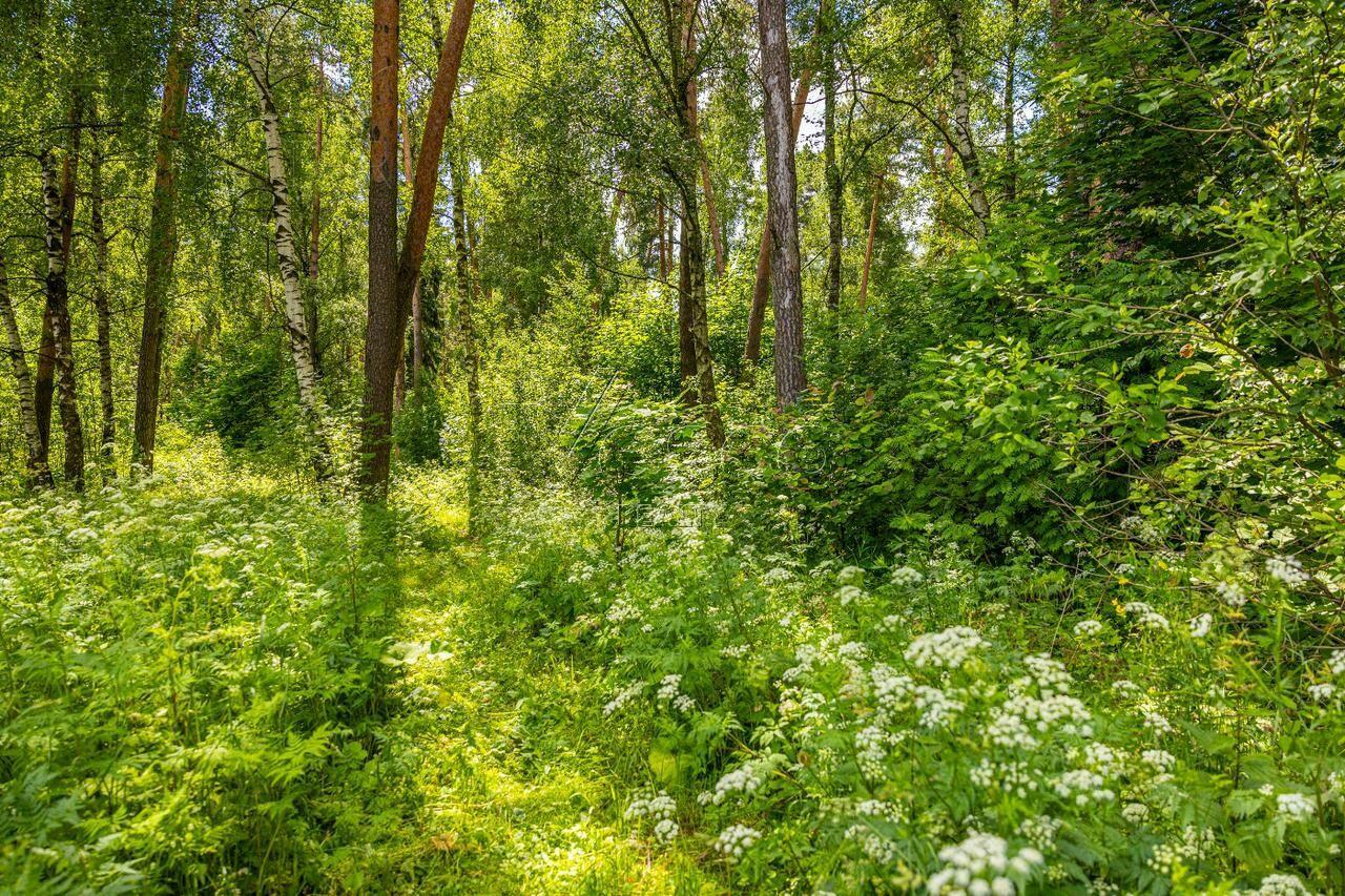 Участок 285.6 сот.