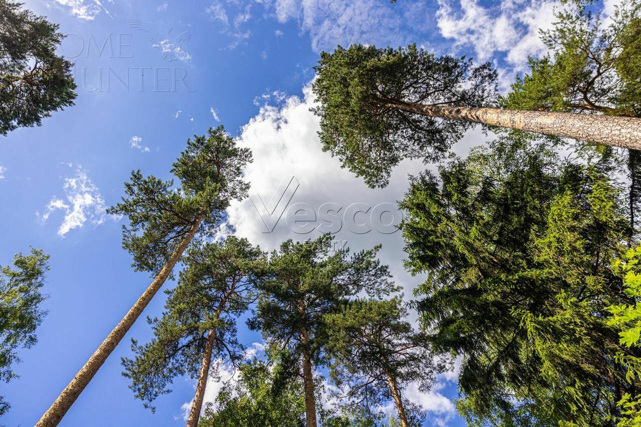 Участок 285.6 сот.