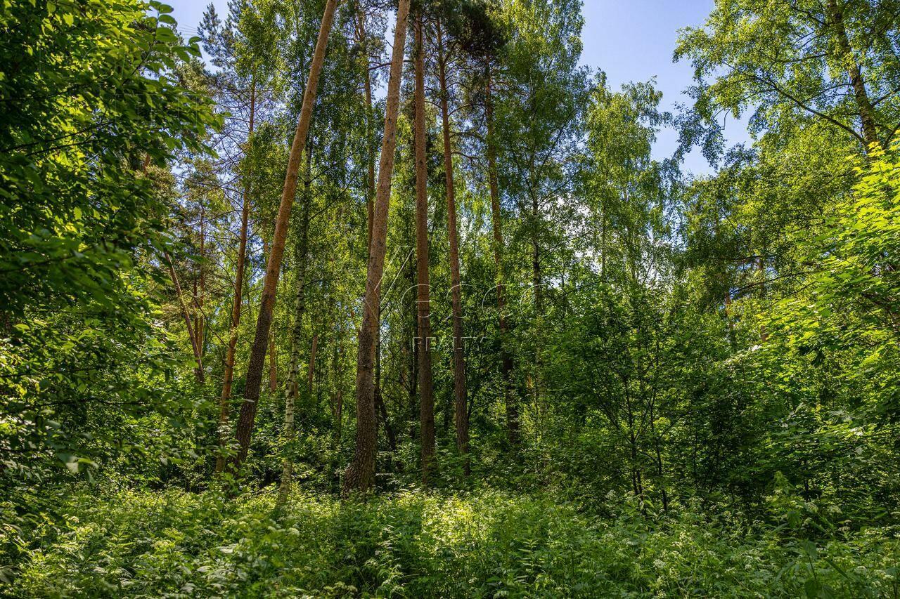 Участок 285.6 сот.