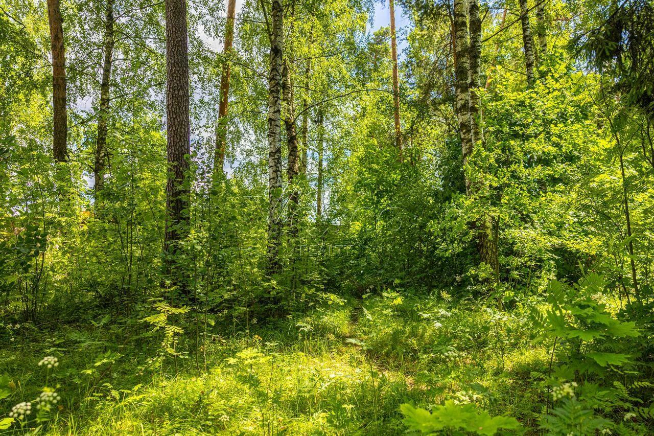 Участок 285.6 сот.