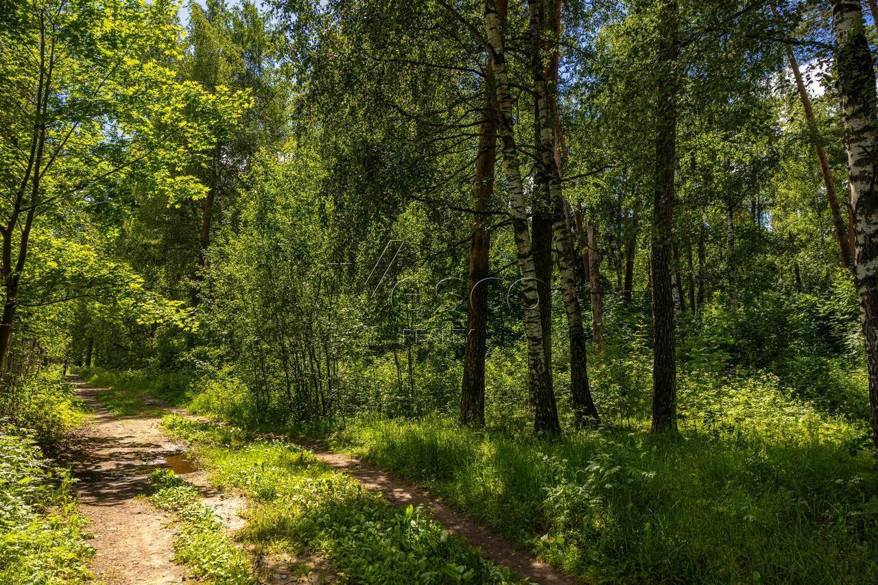 Участок 285.6 сот.