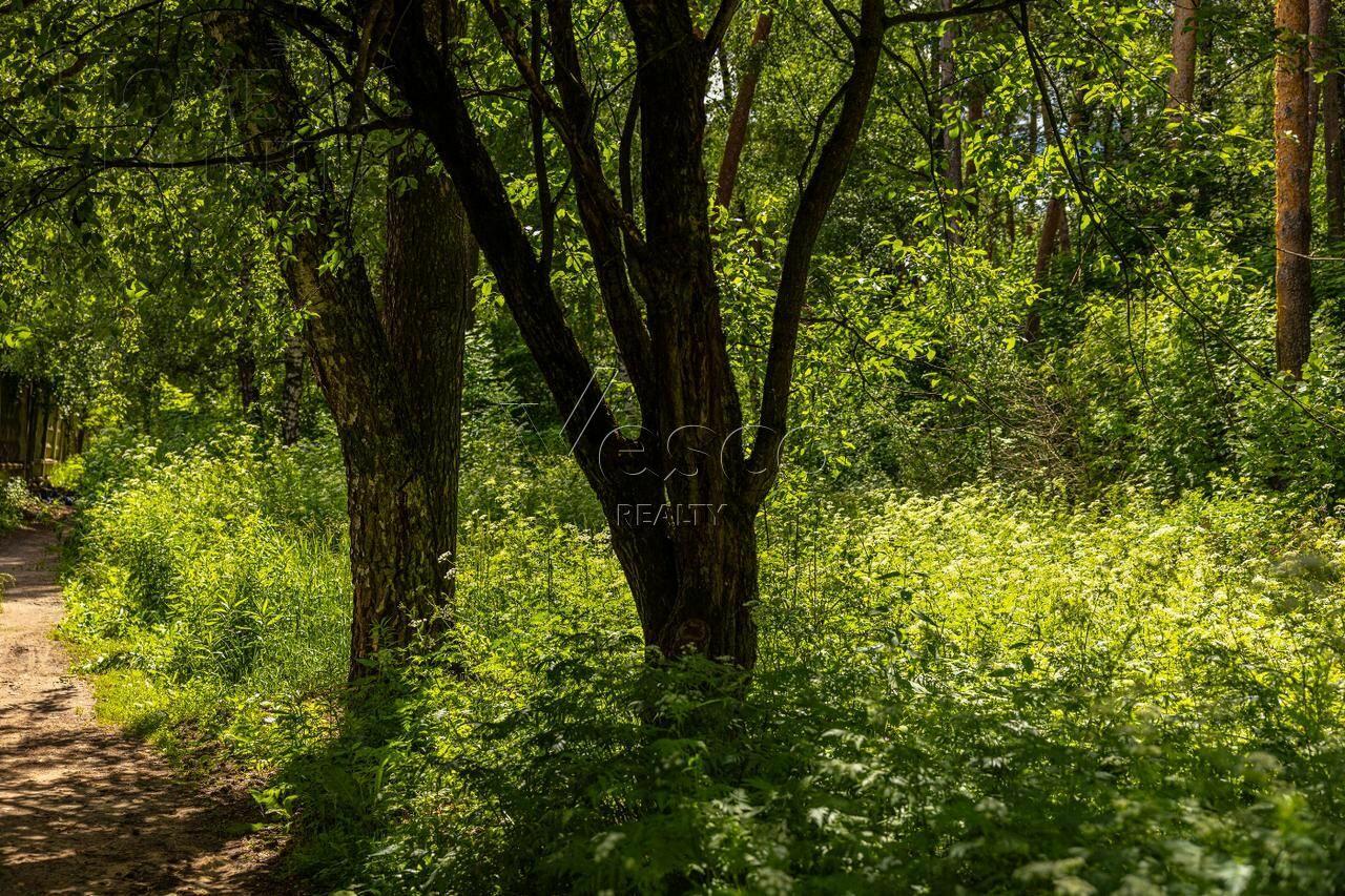 Участок 285.6 сот.