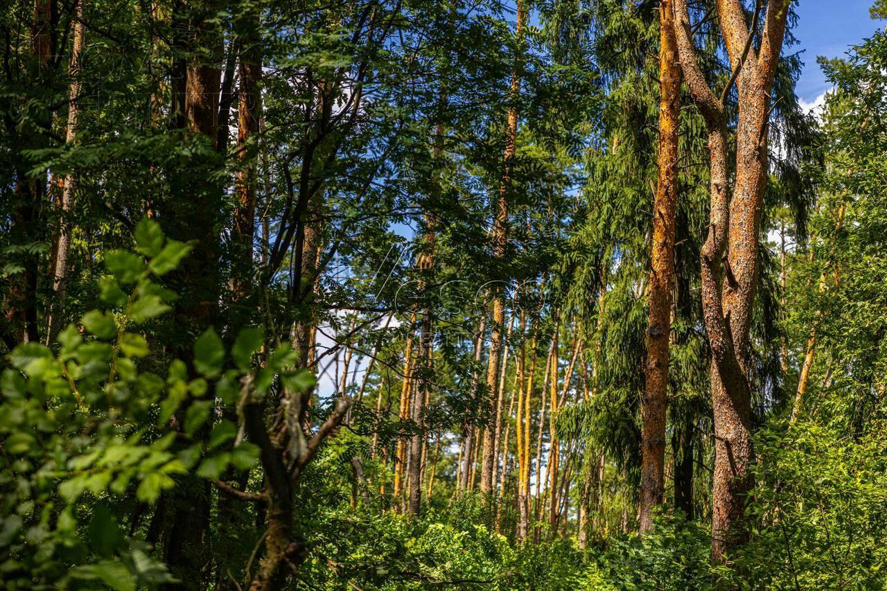 Участок 285.6 сот.