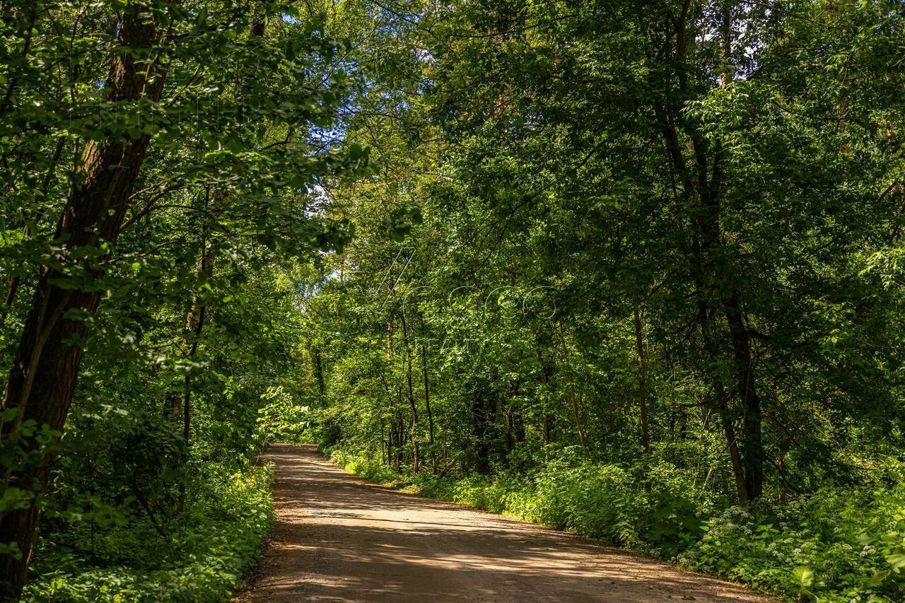 Участок 285.6 сот.