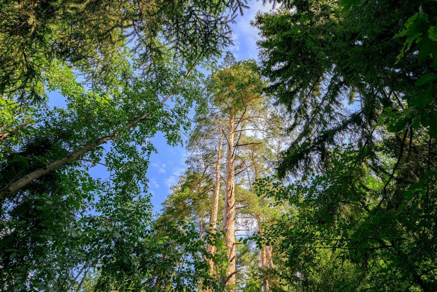 2-этажный коттедж 638 м² без отделки