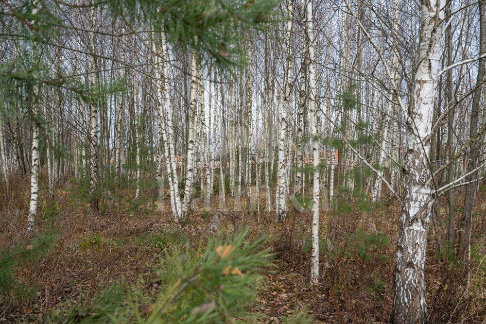 Участок 16.3 сот. в охраняемом поселке