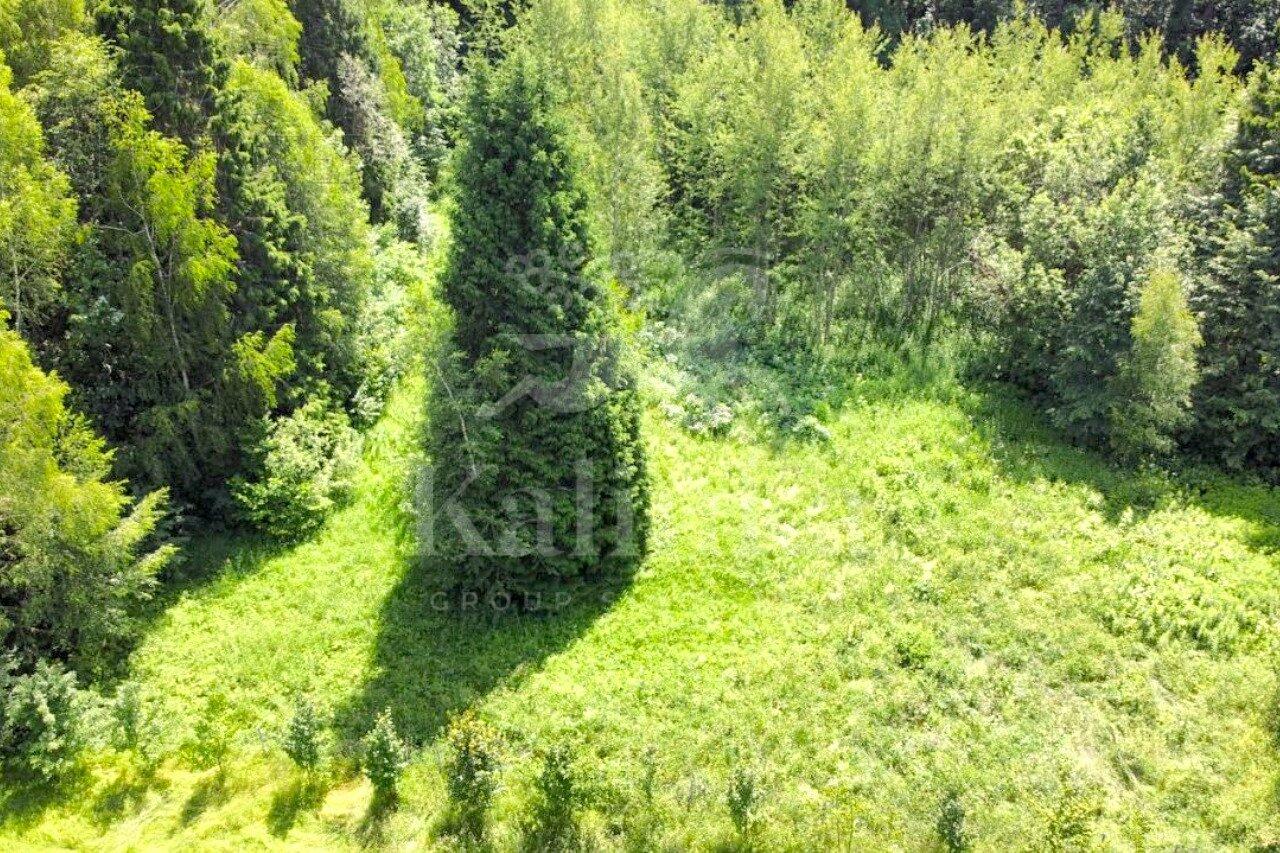 Участок 181.38 сот. в охраняемом поселке