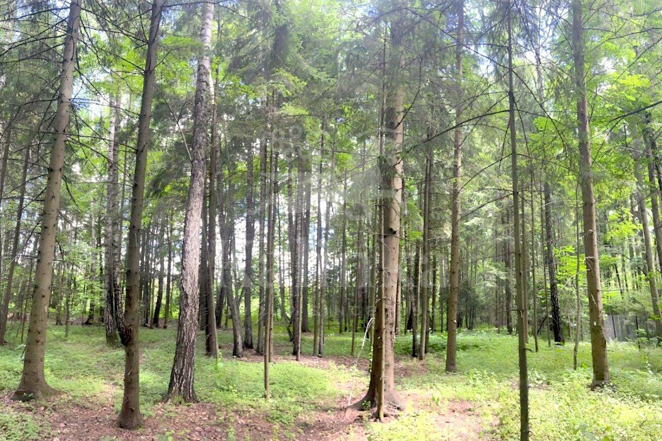 Участок 392.29 сот. в охраняемом поселке