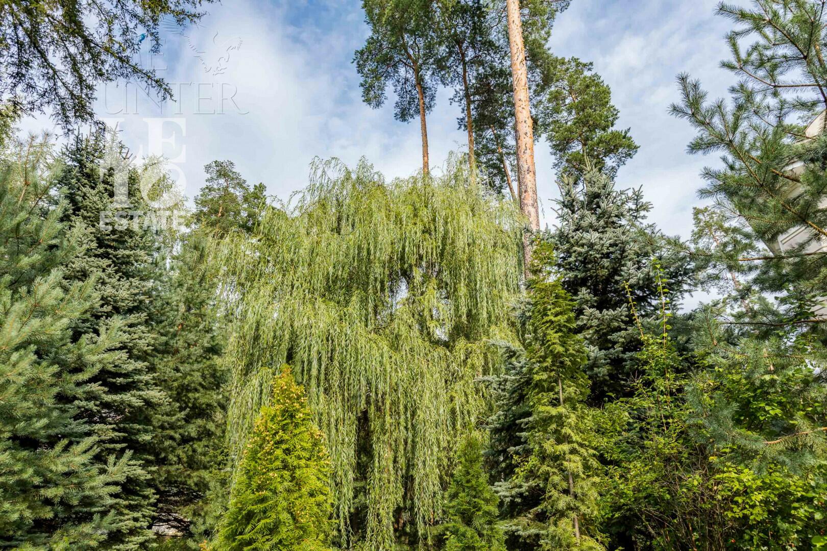 2-этажный коттедж 800 м² с отделкой