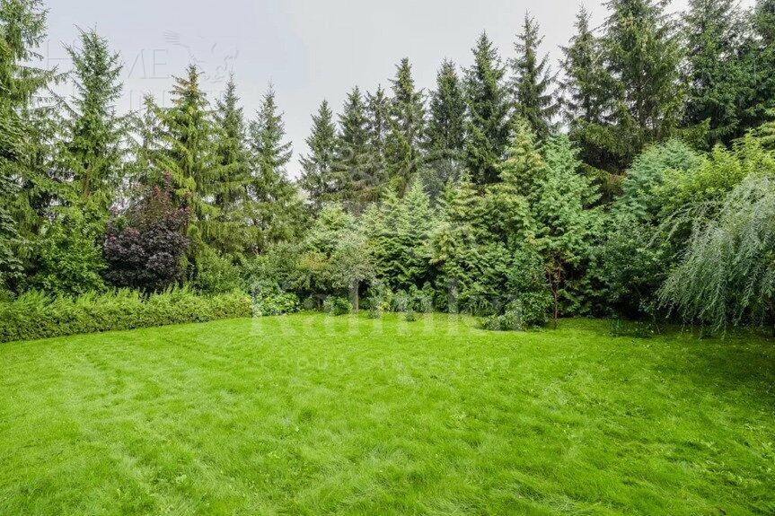 Участок 12.5 сот.