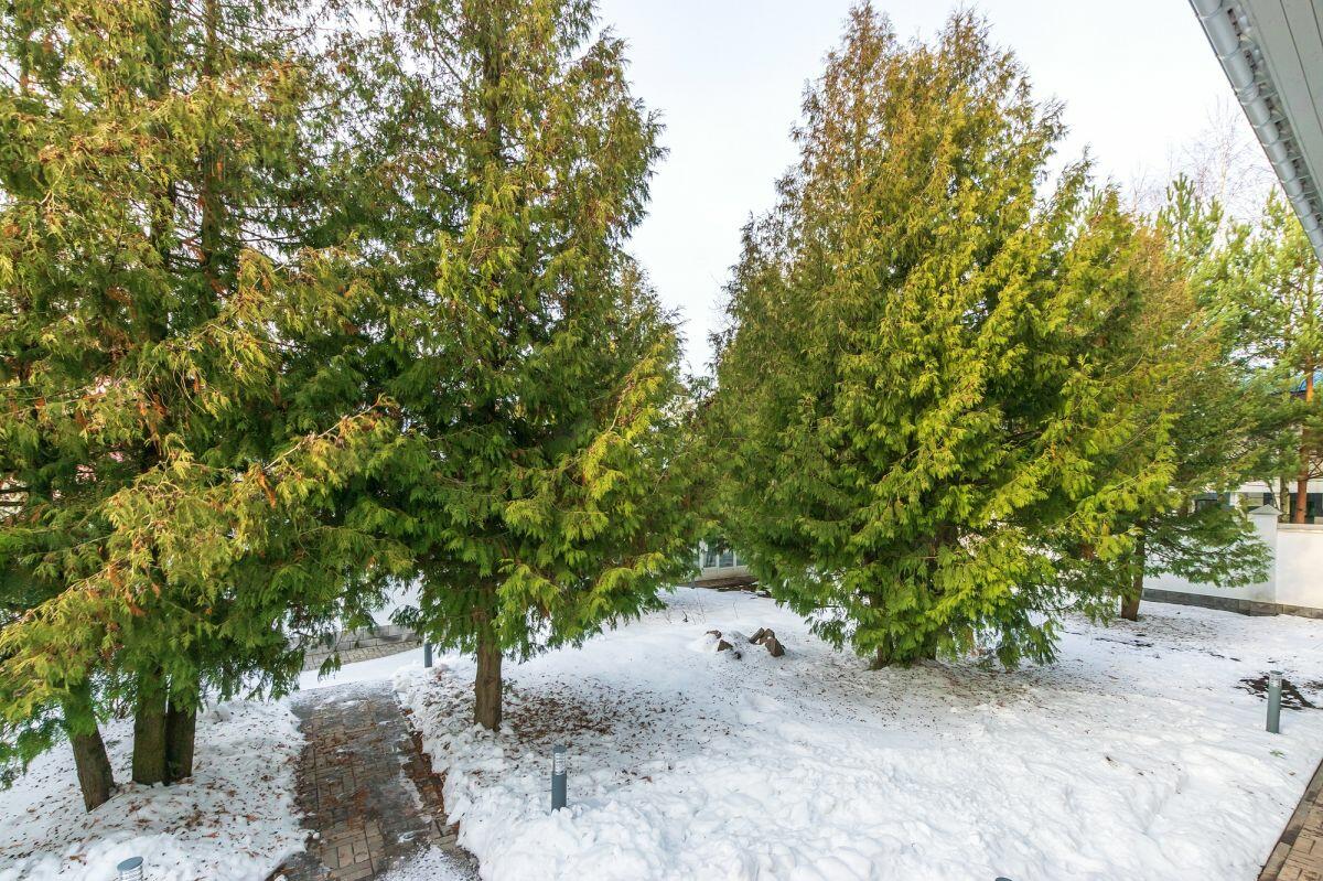 2-этажный коттедж 738 м² с отделкой