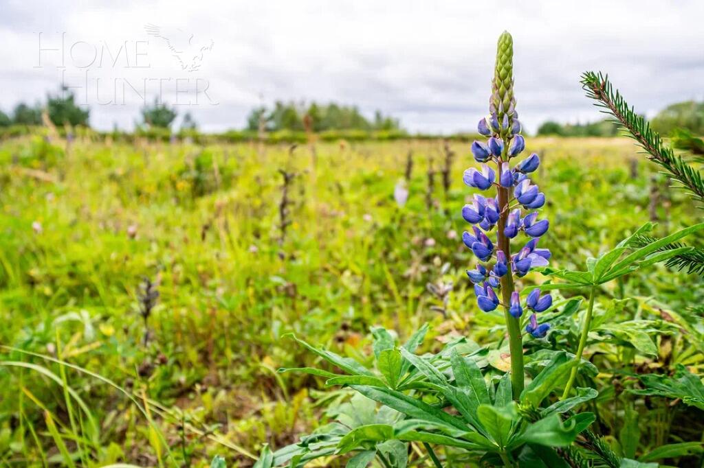 Участок 71 сот. в охраняемом поселке